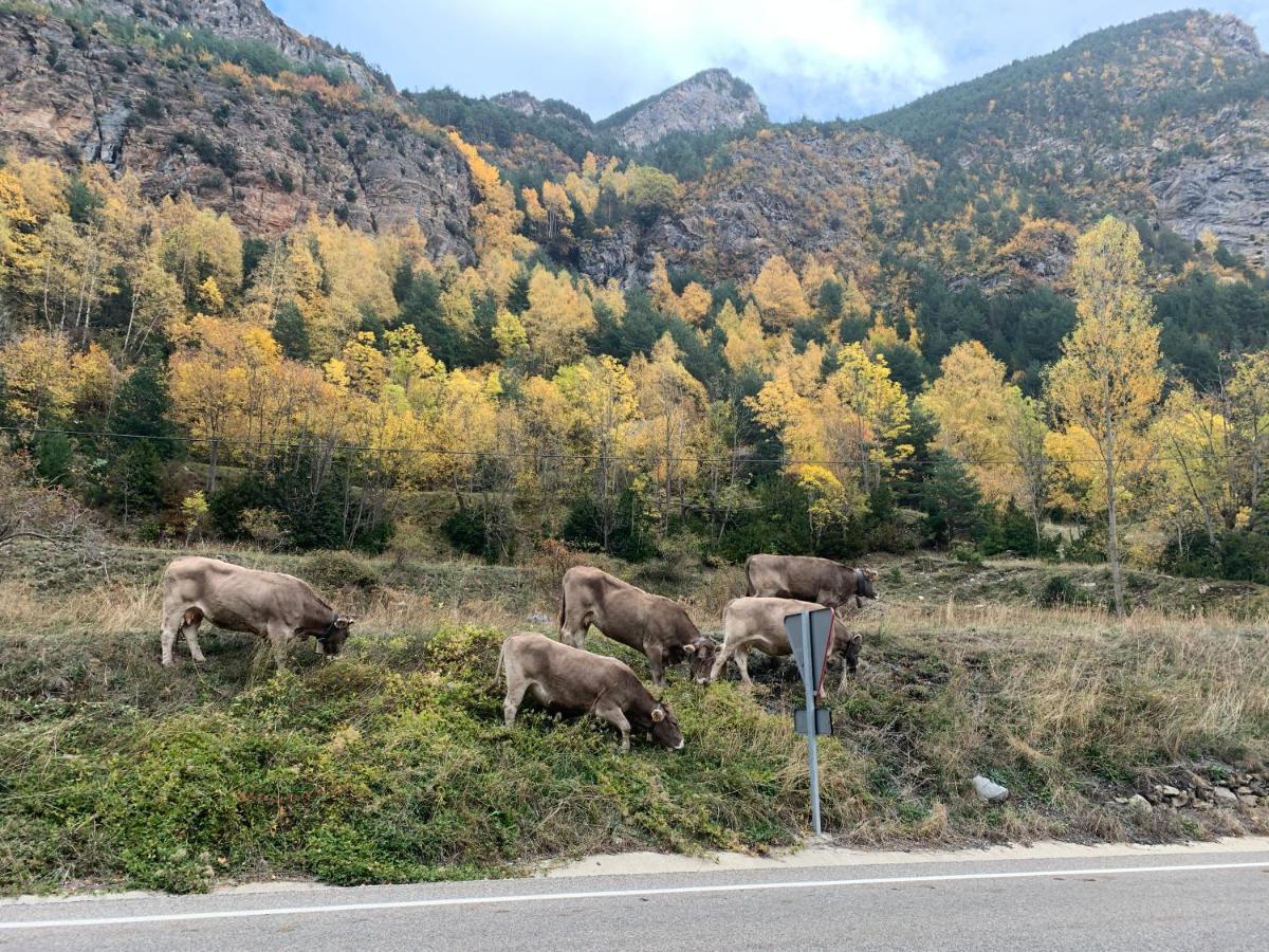 Chalet En El Pirineo De Aragon Neril Екстер'єр фото